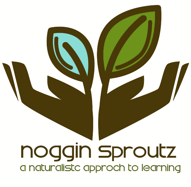 Noggin Sproutz - a naturalistc approach to learning